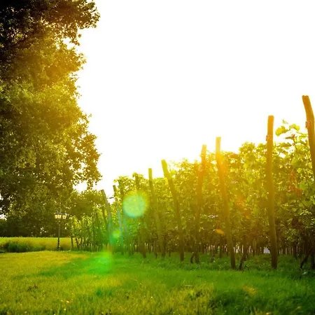 Ferienhaus Vakantiehuisjes Op De Horst