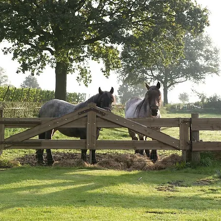 Vakantiehuisjes Op De Horst Groesbeek