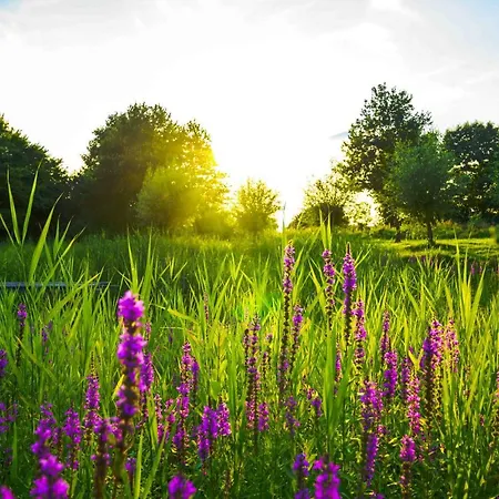 Vakantiehuisjes Op De Horst Groesbeek