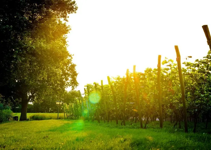 Ferienhaus Vakantiehuisjes Op De Horst