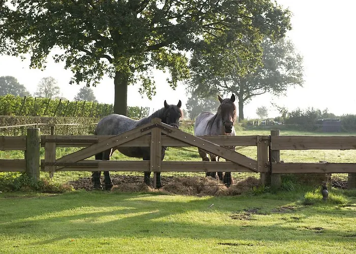 Vakantiehuisjes Op De Horst Groesbeek