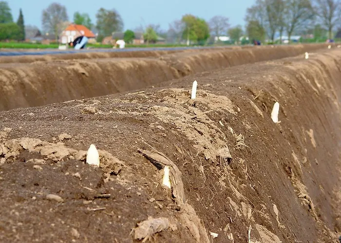Vakantiehuisjes Op De Horst * Groesbeek