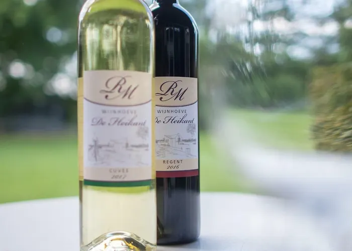 Vakantiehuisjes Op De Horst Groesbeek