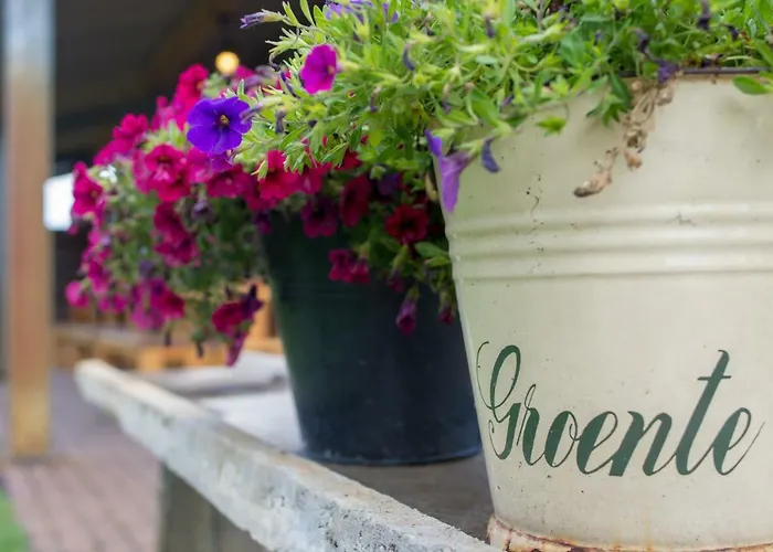 Vakantiehuisjes Op De Horst Feriehus Groesbeek