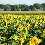 Feriehus Vakantiehuisjes Op De Horst Groesbeek