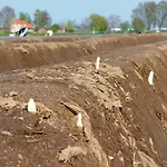 Vakantiehuisjes Op De Horst * Groesbeek
