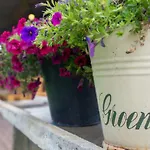 Vakantiehuisjes Op De Horst Feriehus Groesbeek