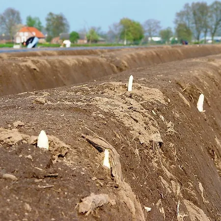 Vakantiehuisjes Op De Horst * Groesbeek
