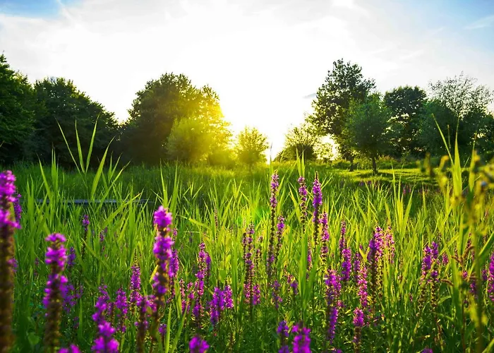Vakantiehuisjes Op De Horst Berg en Dal